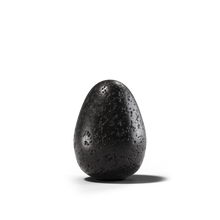 Load image into Gallery viewer, The Thinking Nest 1.0