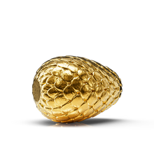 Load image into Gallery viewer, Golden Draconis | Fortune